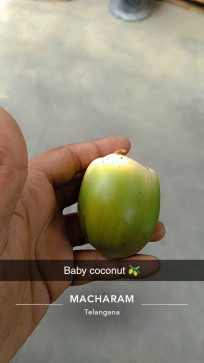 Anurag Rathor, 24, India