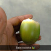 Anurag rathor
