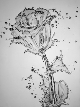 Fleur, 99, United Kingdom