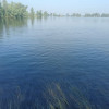 Sohil