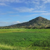 Jagan Jagan