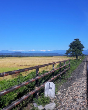 AmritaF33, 33, India