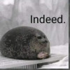 Justadude