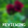 Jan_jan2345