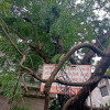 Sachin Narwade