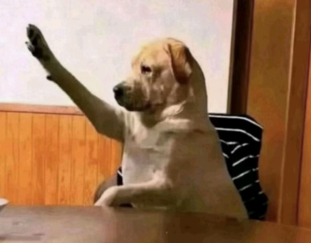 XDXDXDXDXDXD, 23, Egypt