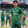 Mir Shahid