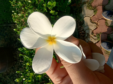 Bjjhy, 20, India