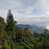 Sougata gameply Pram