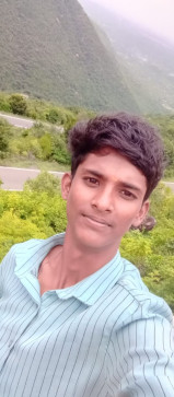 Spider, 25, India