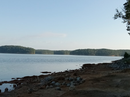 Singledad, 40, United States