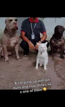 Kaalu Prasad, 25, India