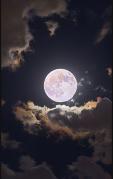 Sweet Lemon, 22, India