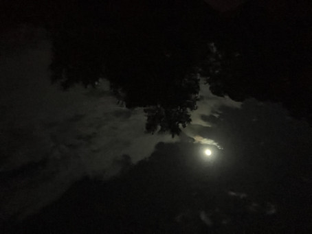 Aurora Howard, 18, United States