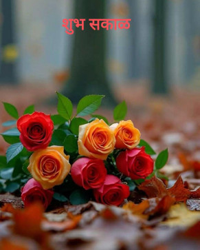 Anujsingh, 18, India