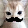 Azy