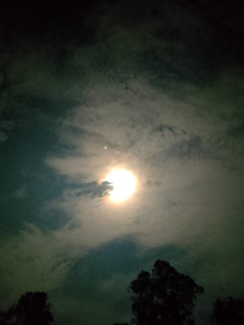 Sagar Singh, 23, India