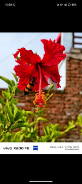 Rick Sutradhar, 24, India