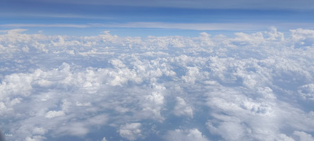 Jasmer Malik, 18, India