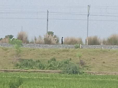 Amarjitkumar, 18, India