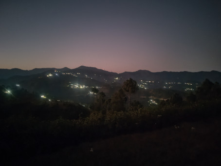 Priyanshu Rwtt, 23, India