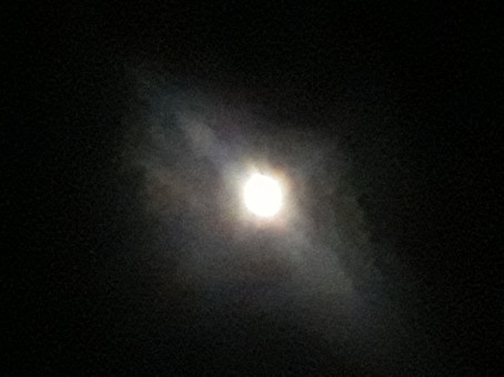 Anonymous, 20, India