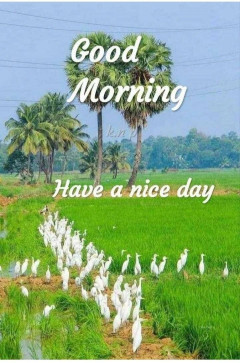 Rahul Chavan, 19, India