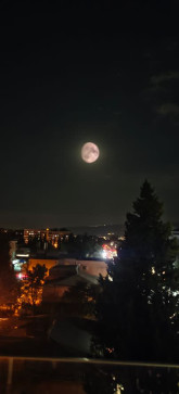 Call Back1, 23, Philippines