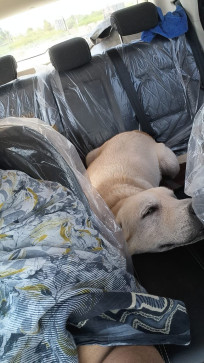 Bonny, 34, United Arab Emirates