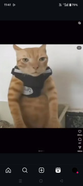 Oppopopo77 Oppopopo7, 18, India