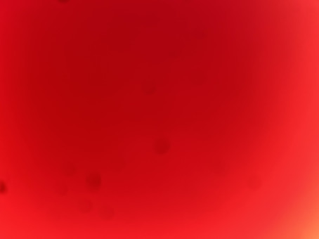 Ashish Waghmare, 23, India