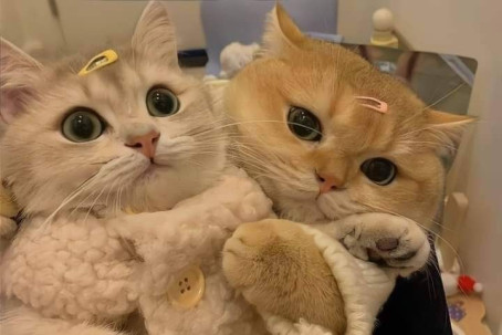 Yer, 26, Philippines