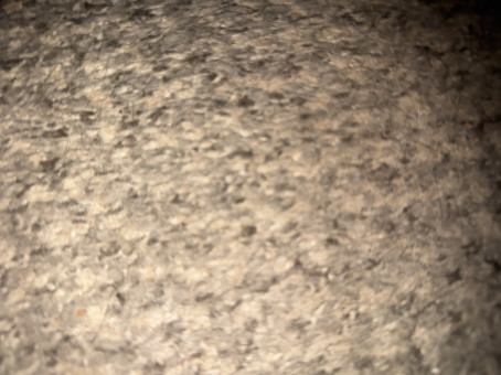 B1m8, 25, United States