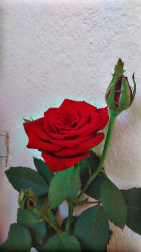 SANTOSH Kumar, 23, India