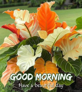 Dolma Sonam, 22, India