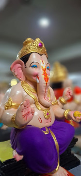 Competition King, 23, India