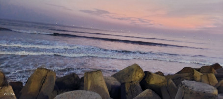 Vala Viral, 23, India