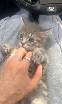 Djoumad Off, 24, Algeria