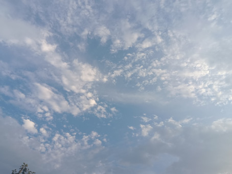 Abhash Subhra Swarup, 18, India