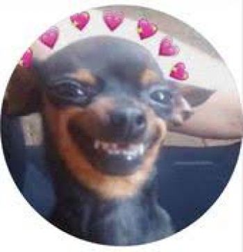 Siddharth Sharma, 28, India