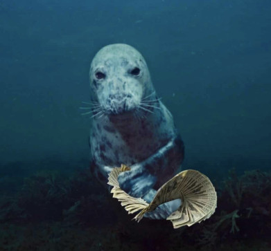 Ree Yearis, 18, Philippines