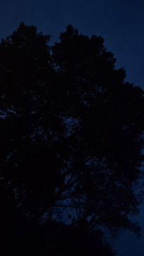 Hagen Erfurt, 18, Germany