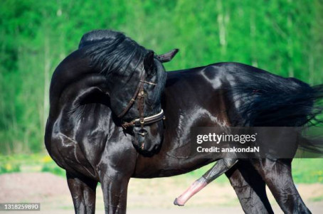 Eric J, 19, United States