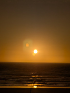 Han, 24, United States