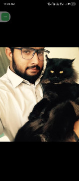 Umar J K Lodhi, 33, Qatar