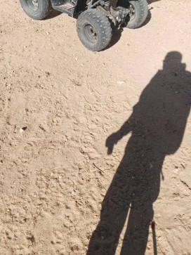 Motor Sport, 21, Algeria