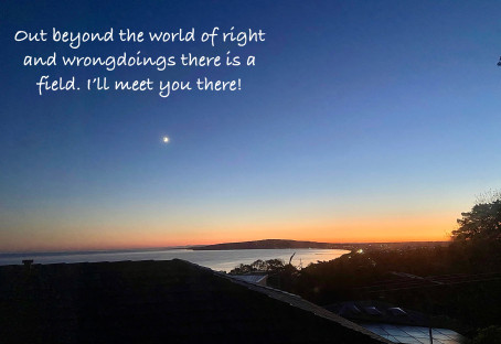 Intelligent Man, 62, Australia