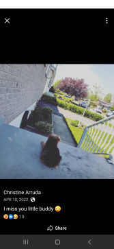 Mike Ferramenta, 40, Canada