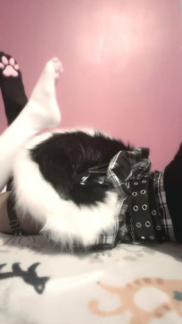 Mutt, 18, United States