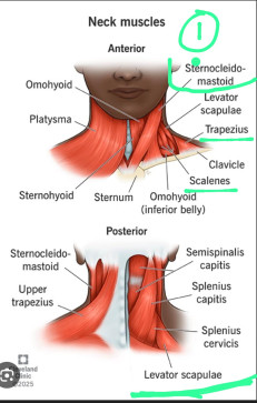 MOHD AASIM, 18, India